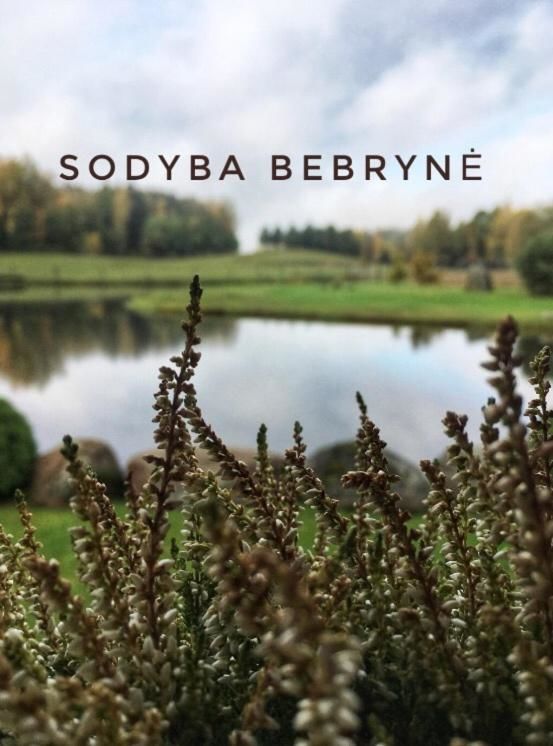 Виллы Bebryne Didviečiai-40